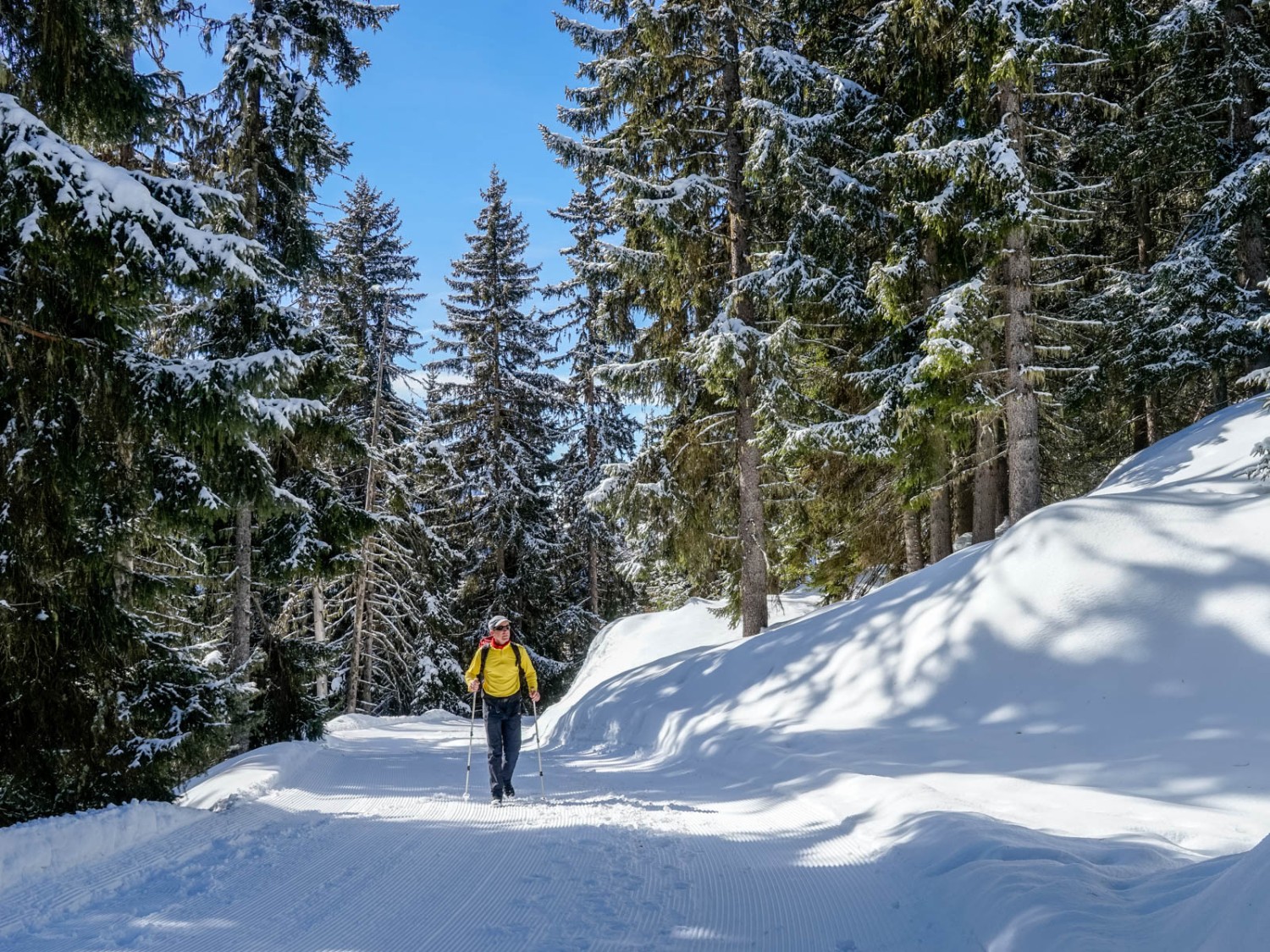 Un tronçon de forêt isolé environ à mi-chemin de la montée.