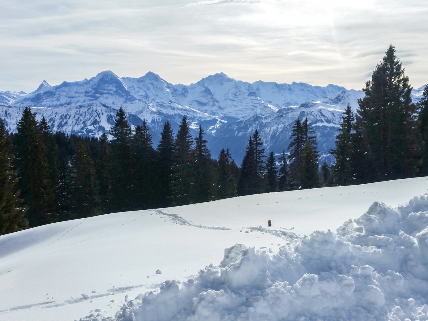 Das Panorama lässt hier nichts zu wünschen übrig. 