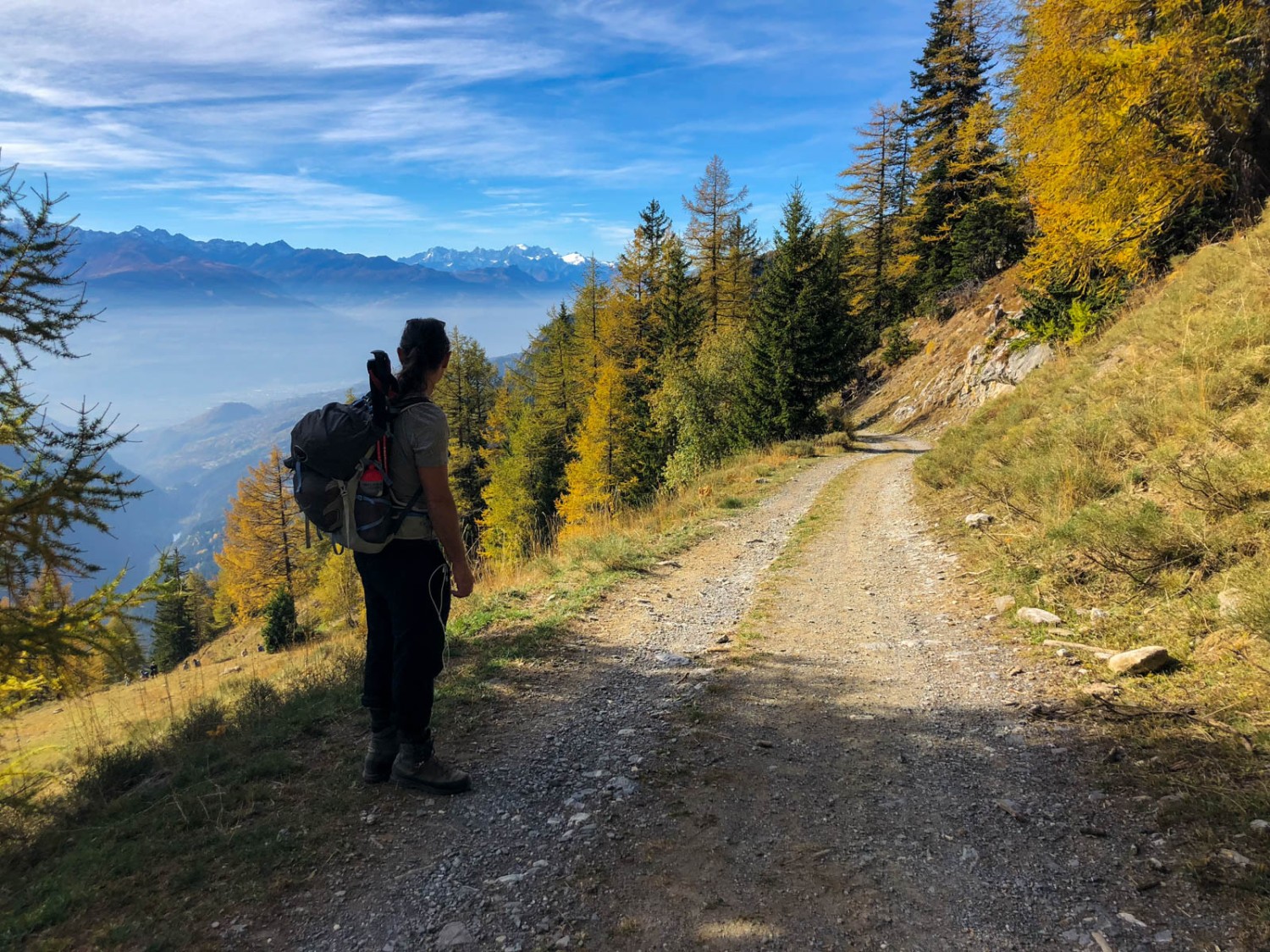 Zunächst ist der Weg noch breit... Bild: Vera In-Albon