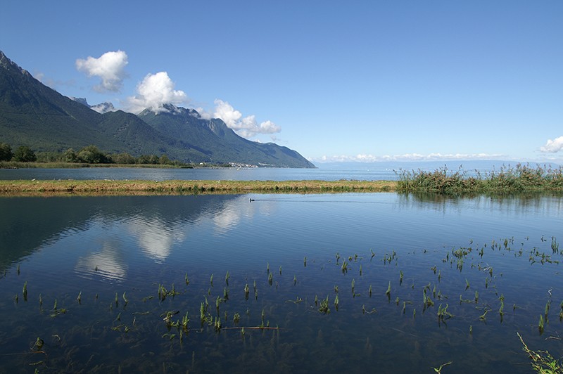 C'est là que le Grand Canal rejoint le lac Léman.
Photo: Suisse Rando, J.I.