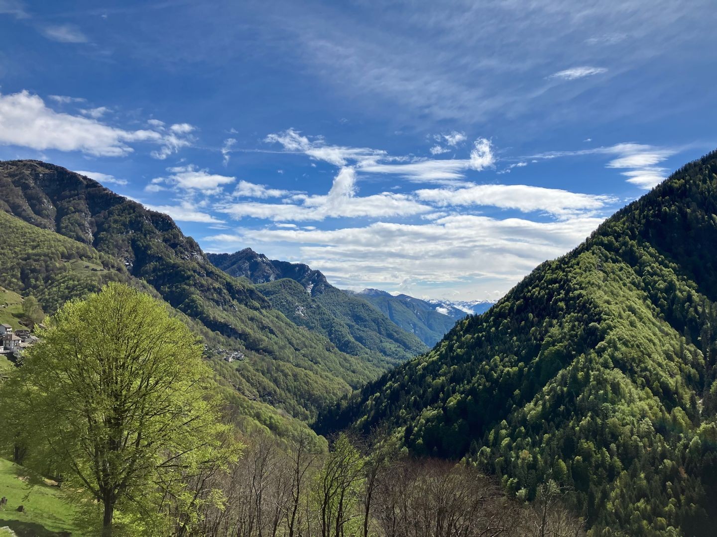 Meditative Ruhe: Wildnis des Onsernonetals.