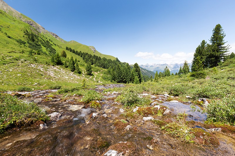 Le cours d’eau Selabach, qui ne coule qu’en été. En hiver, il se tarit. Photos: Daniel Fleuti