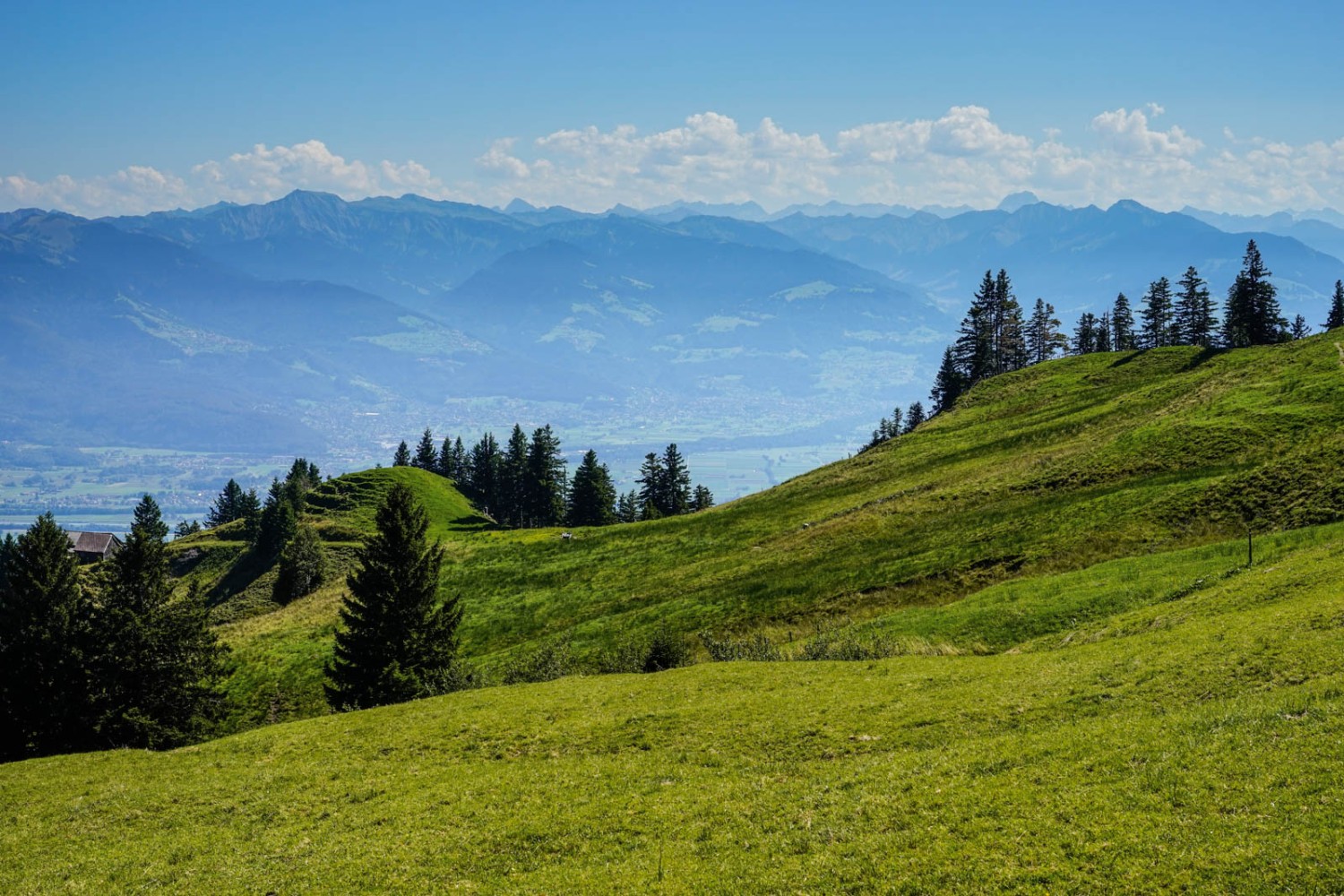 Derrière le Fähnerenspitz, on aperçoit la région autrichienne du Vorarlberg, au-delà de la vallée du Rhin saint-galloise. Photo: Fredy Joss