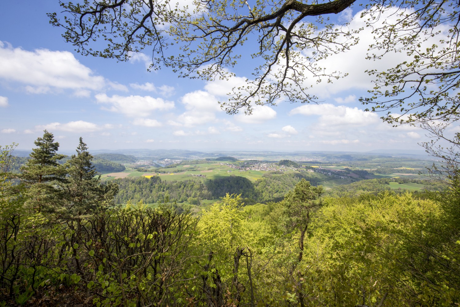 Aussicht von Irchel Hochwacht auf das Weinland, den Rhein und die Thurauen bis zum Randen und zum Schwarzwald. Bild: Daniel Fleuti