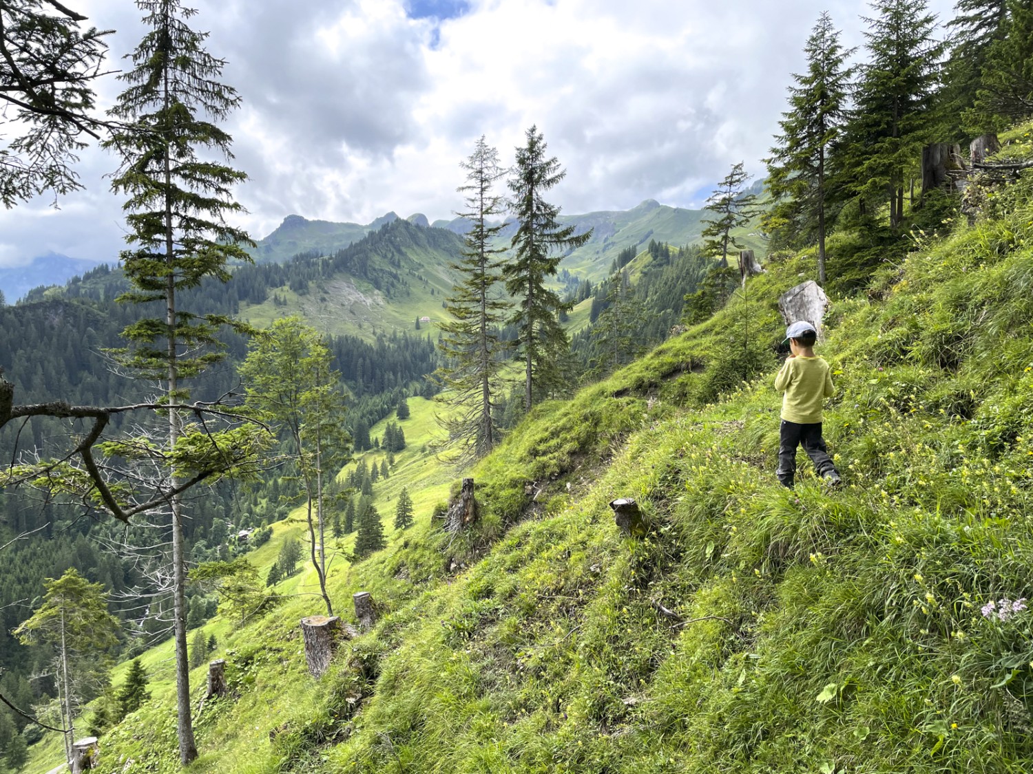 Nach dem Bähnlifahren folgt der Aufstieg. Zwischen Oberalp und Gummenalp. Bild: Rémy Kappeler