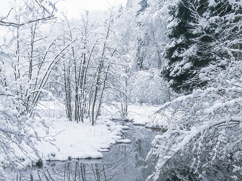 Eaux calmes, sombres profondeurs: le lac d’Egelsee exerce un attrait quelque peu sinistre même en hiver. Photo: Andreas Staeger
