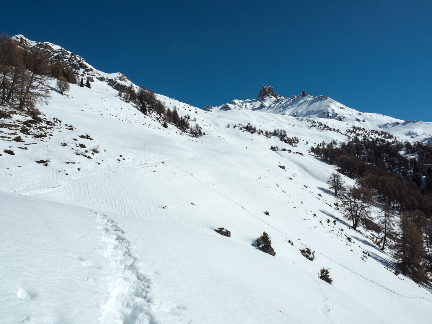 Achtung bei kleinen Erhebungen, es könnte eine Höhle des Schneehuhns sein. Schneespur unterhalb des Gipfels La Maya. Bild: Barbara Graber