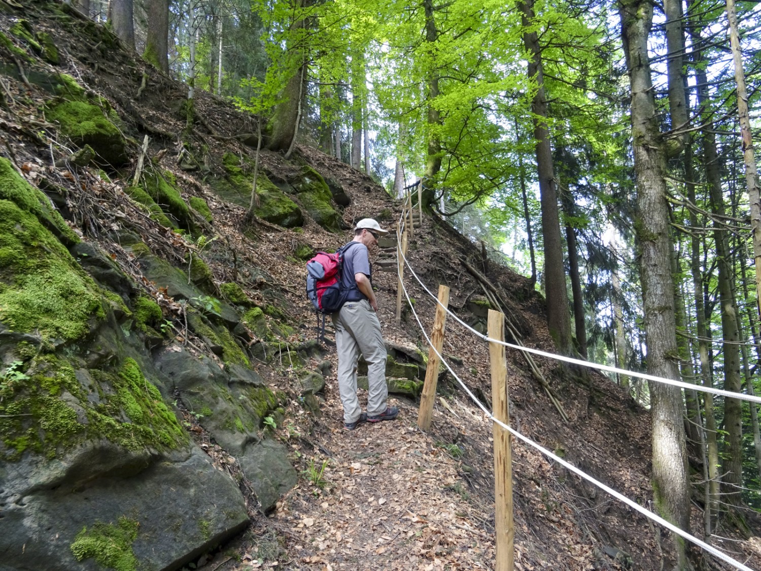 Des marches et des câbles pour monter à la Chrüzflue. Photo: Sabine Joss