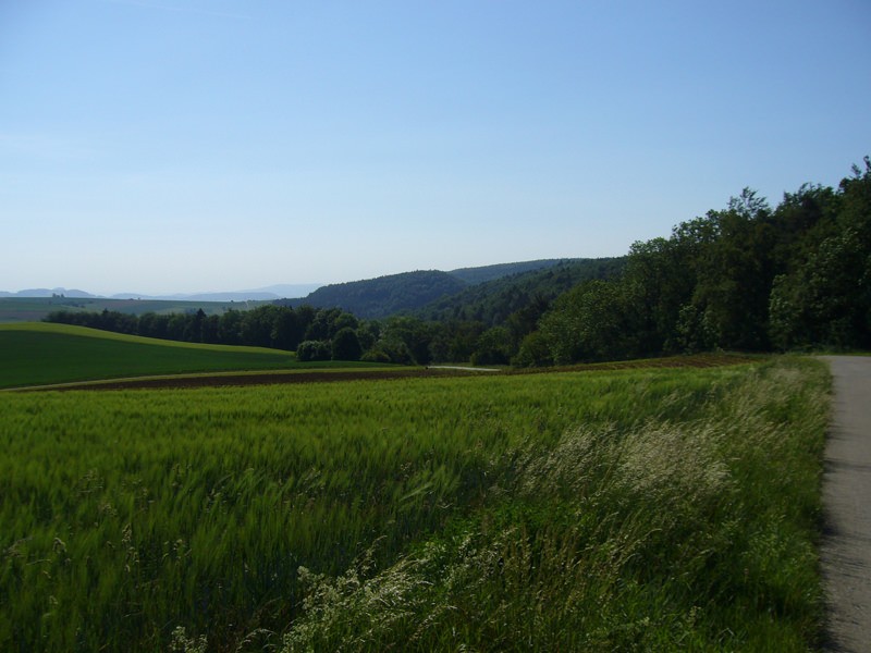 La vue lointaine sur les hauteurs boisées de la région du Randen est toujours séduisante. 
Photo: Werner Nef