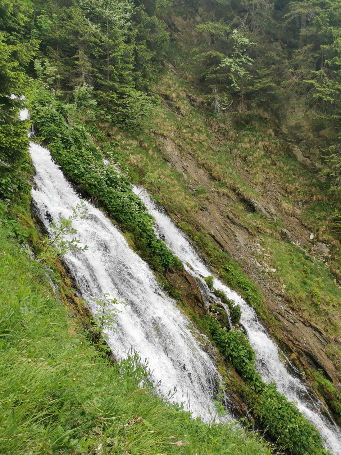 La randonnée se poursuit le long de flancs abrupts où coulent des ruisseaux sauvages. Bild: Andreas Staeger