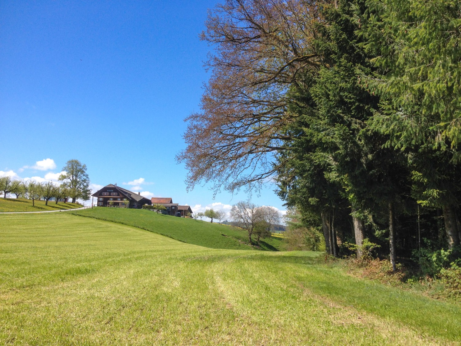 De magnifiques fermes jalonnent le chemin. Photo: Claudia Peter