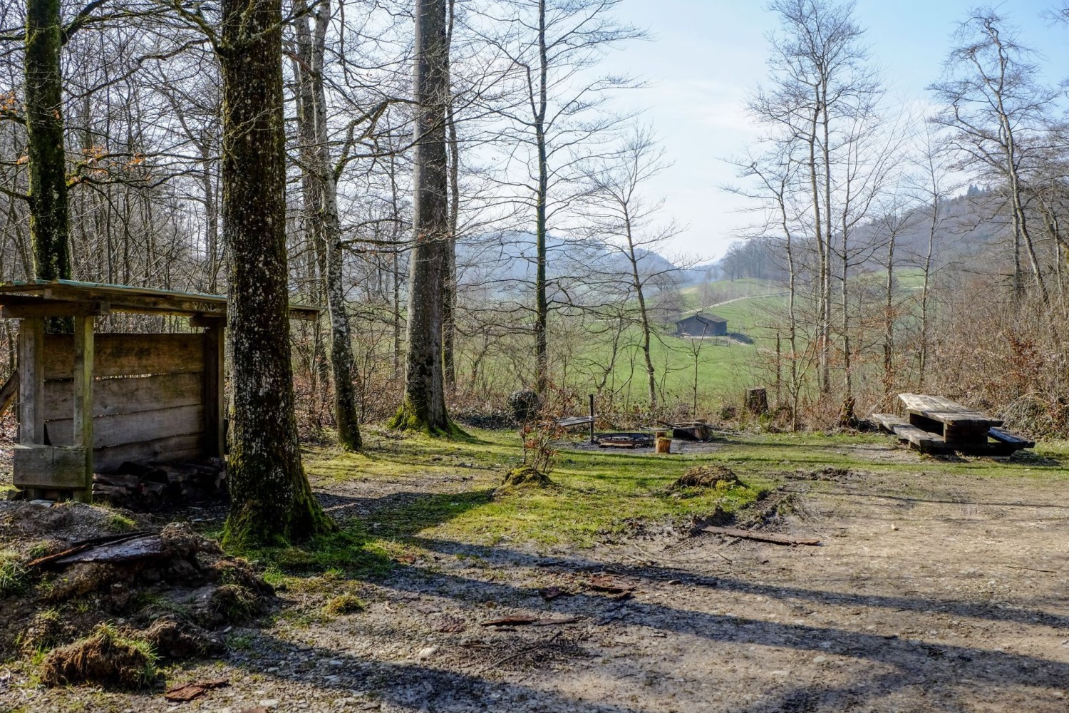 Le foyer dans la clairière de Möösere