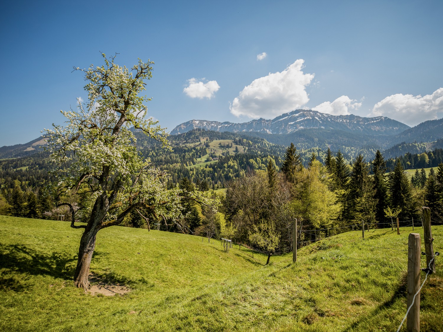 Vue en direction de Riseteflue. Photo: Wanderblondies