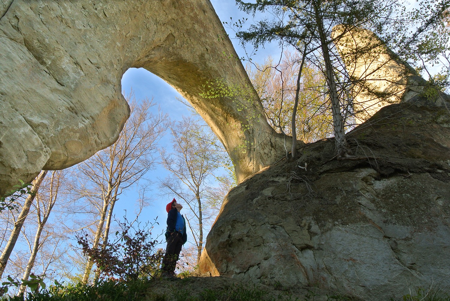 La trompe de l’«Eléphant» se balance au-dessus des têtes. Photo: Rémy Kappeler