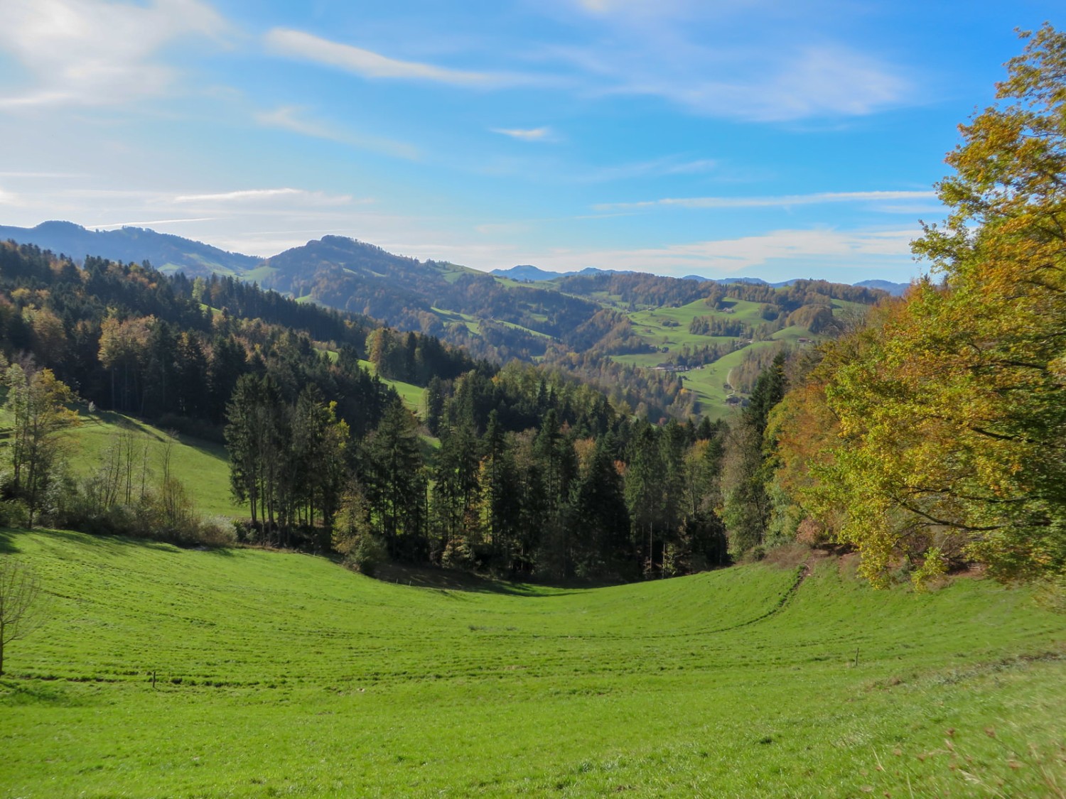 Près de Mogelsberg au mois de novembre Photos: Sabine Joss