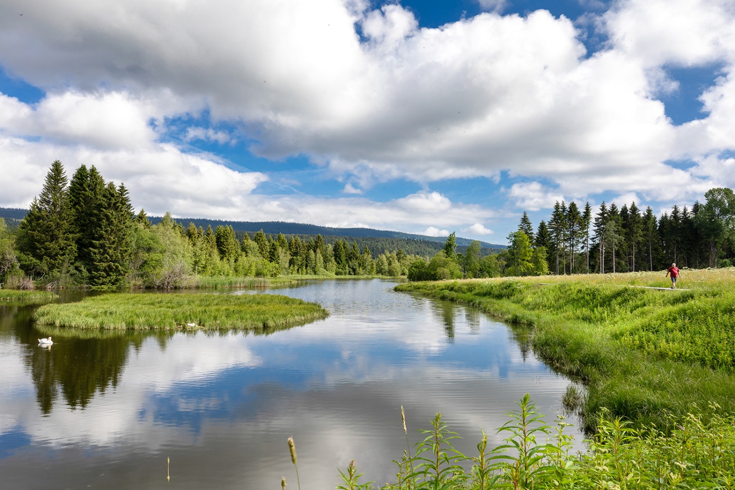 Naturidylle bei Tête du Lac. Bild: Severin Nowacki