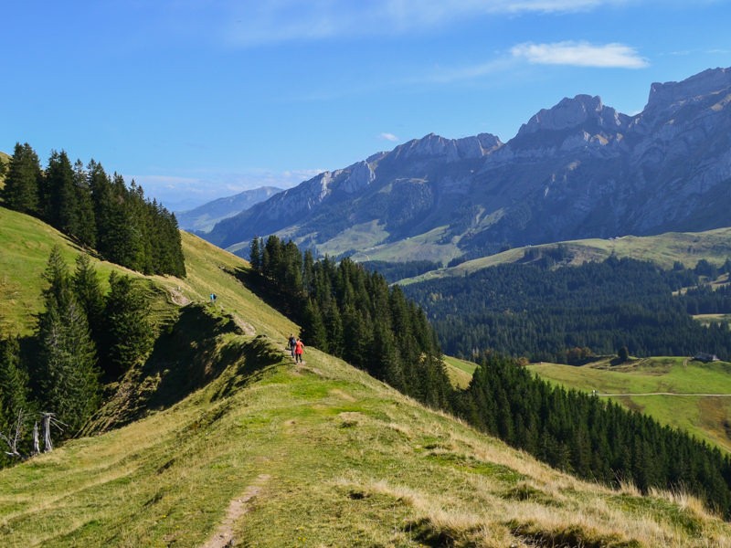 Le randonneur est rarement seul dans l’attrayante région de randonnée qu’est la Schwägalp. Photos: Sabine Joss