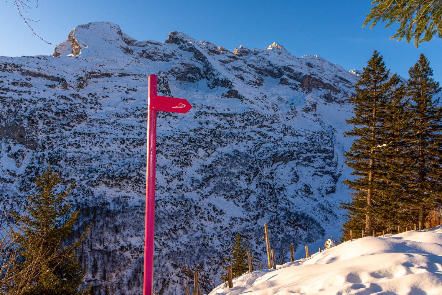 La piste de Brüti est bien balisée avec des poteaux et des panneaux indicateurs. Photo: Franz Ulrich