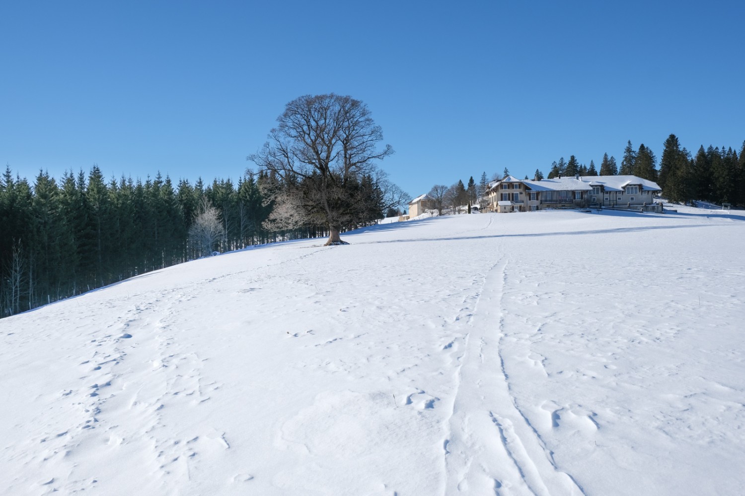 L’auberge du Grand-Sommartel est située sur une butte, au bord d’un vaste pâturage jurassien. Photo: Markus Ruff