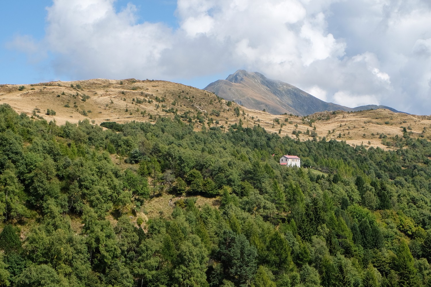 Entlang der Grenze zwischen Wald und Weide verläuft der Höhenweg von der Alpe di Cottino zum Monte Bar.