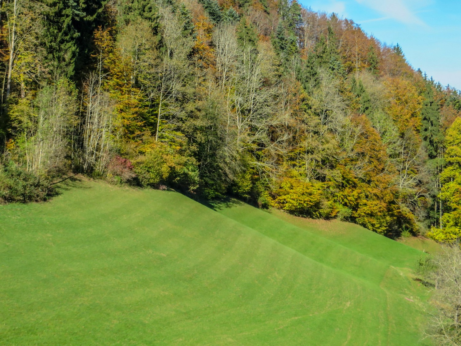 De beaux paysages juste avant Ronenbach.