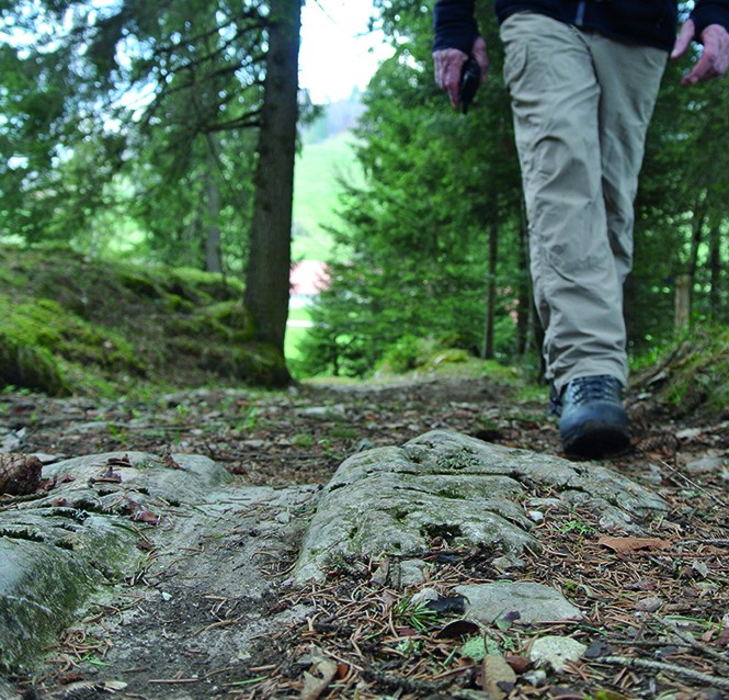 Kurz vor La Roche entdecken Aufmerksame die Karrgeleise. Bild: Rémy Kappeler