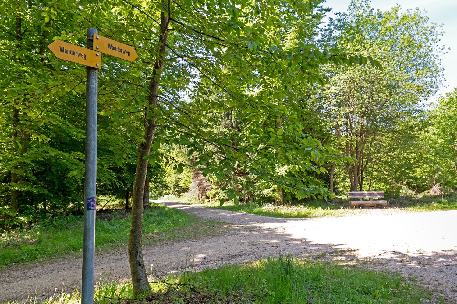 Unterwegs im Galmwald in Richtung Galmeline-Erlebnispfad. Bilder: Daniel Fleuti