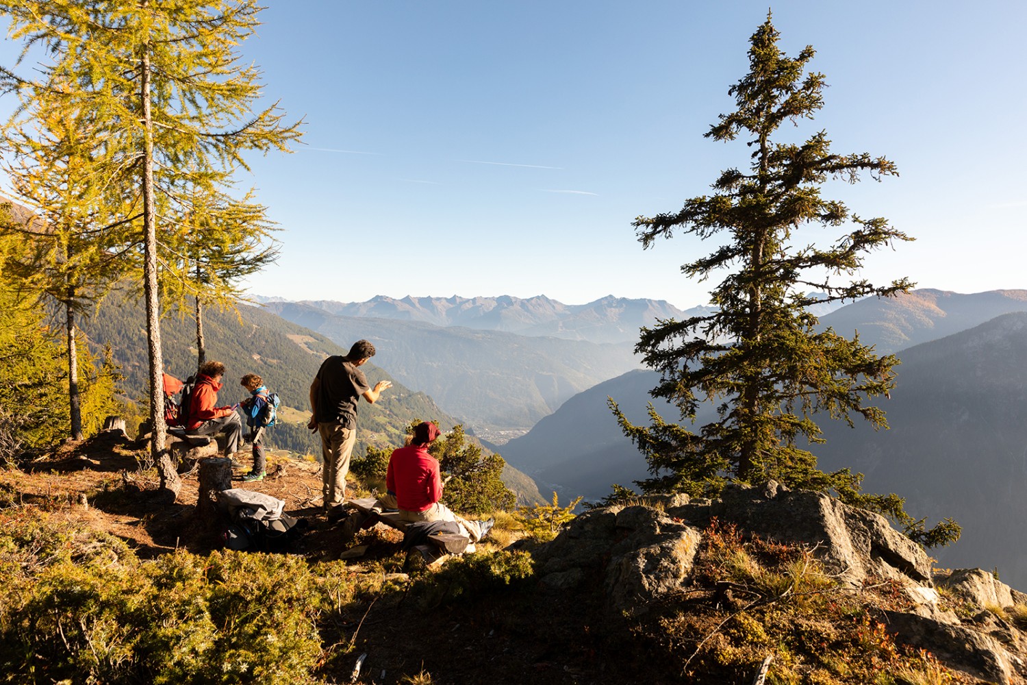 Le point le plus élevé offre une vue jusqu’aux faubourgs de Tirano. Photo: Severin Nowacki