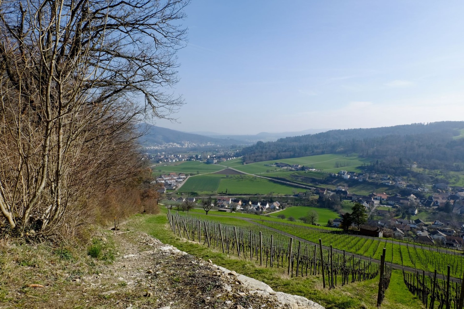 La descente sur Schinznach passe par des murs de calcaire blanc du Jura.