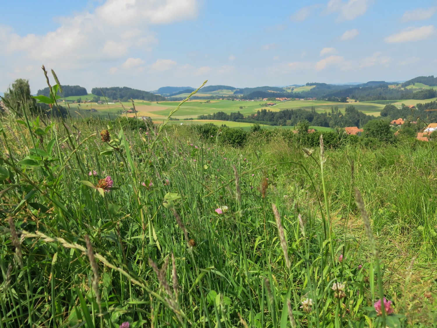 Durch Wohnquartiere verlässt man das Dorf. Foto: Marina Bolzli