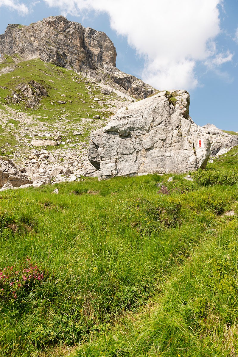 Sur la Steileralp, lors de la montée. Photo: Raja Läubli