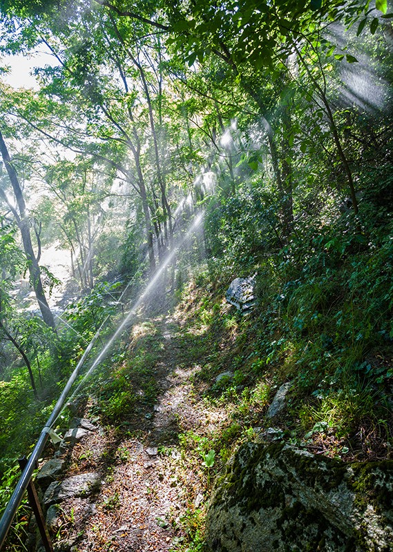 Le système d’irrigation rafraîchit les randonneurs.