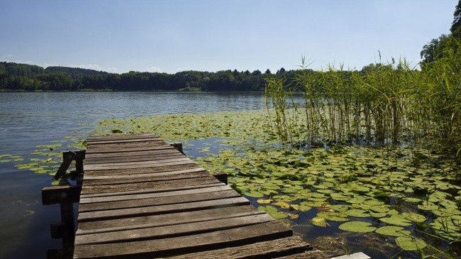 Der Burgäschisee lädt im Sommer zum Baden ein. Bilder: Franz Auf der Maur