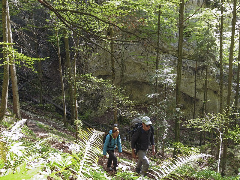 On ne court plus aucun danger dans la gorge du loup (Wolfsschlucht).