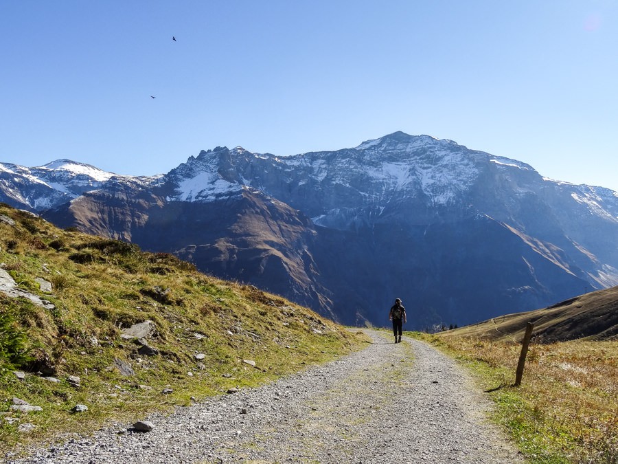 Zurück zum Empächli geht es auf einem breiten Wanderweg.