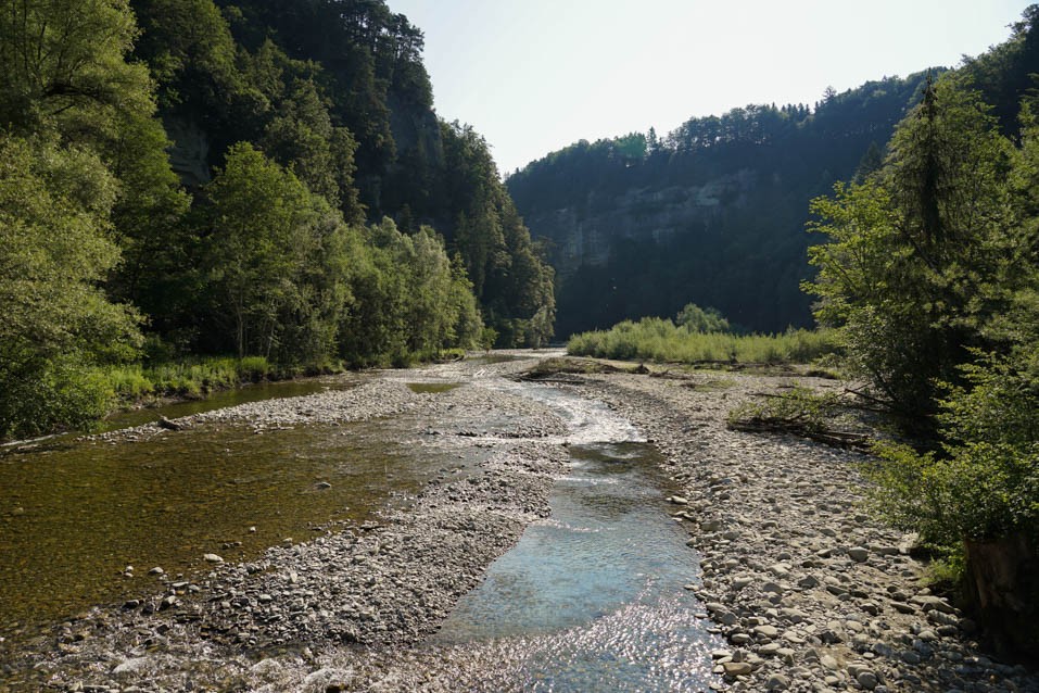 Dans la région de Schwarzenburg, la Singine est encore libre et sauvage.