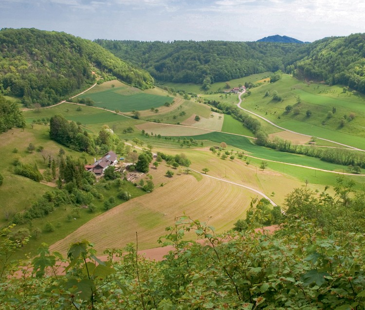 Le Jura tabulaire, vers Rothenfluh.