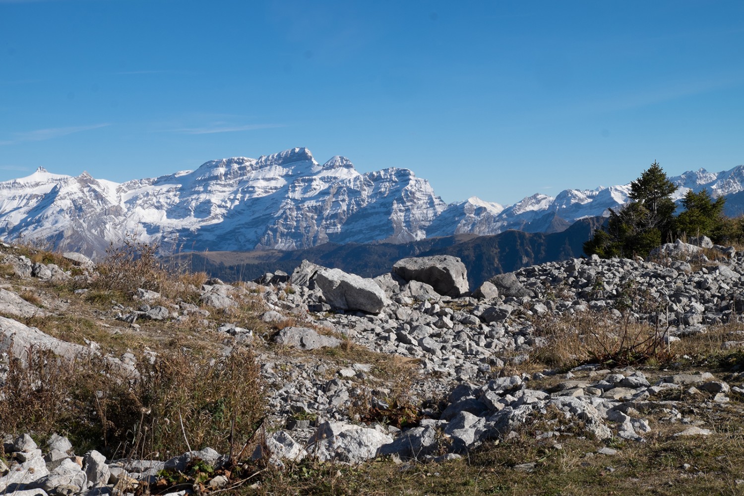 Une vue en direction du Becca d’Audon et des Diablerets. Photos: Sybille Schär 