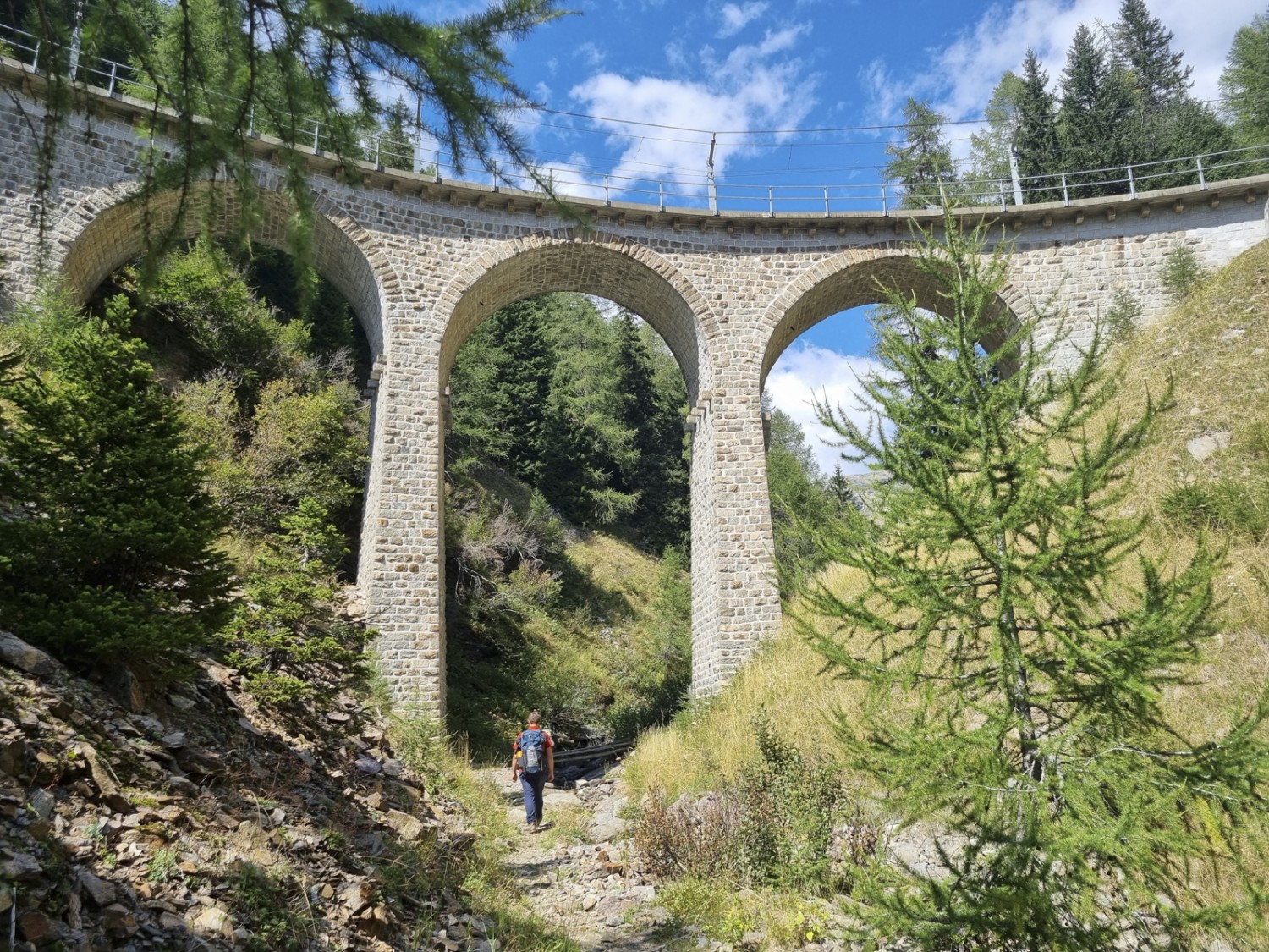 Viaduc des Chemins de fer rhétiques au Val da Pila. Photo: Nathalie Stöckli