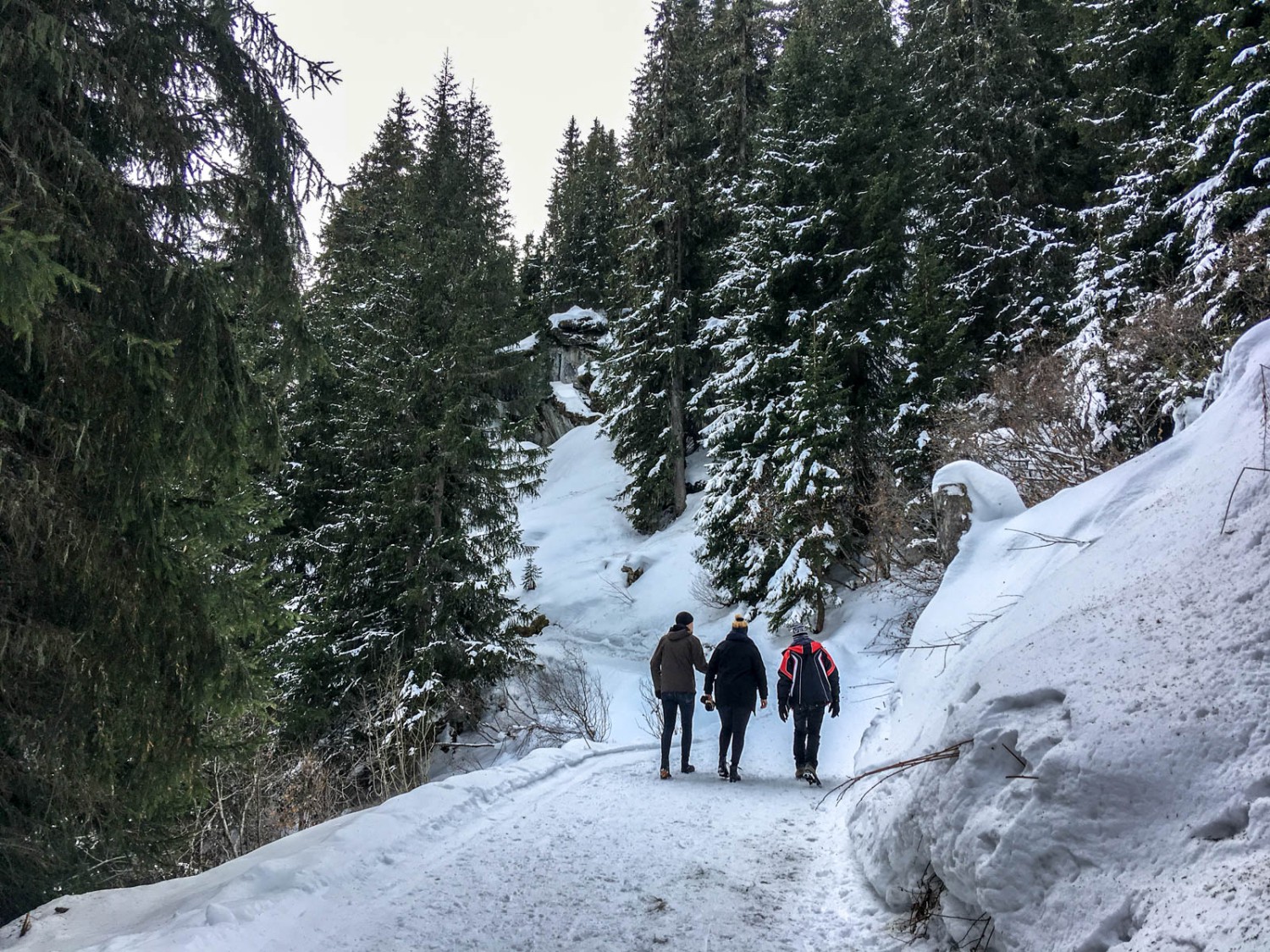 Le chemin traverse des forêts enneigées. Photo: Claudia Peter