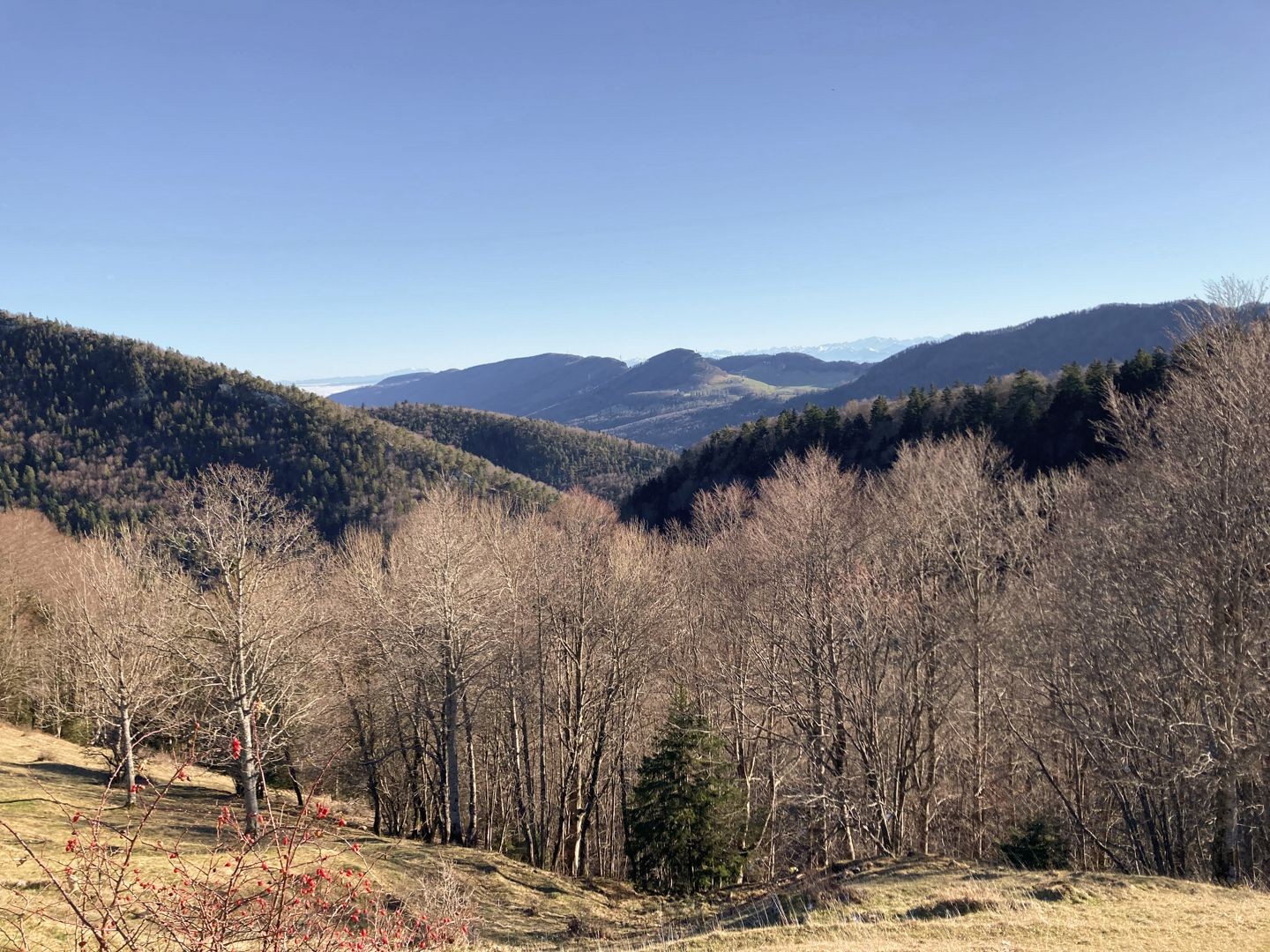 De Hinter Brandberg, on devine les Alpes au loin.