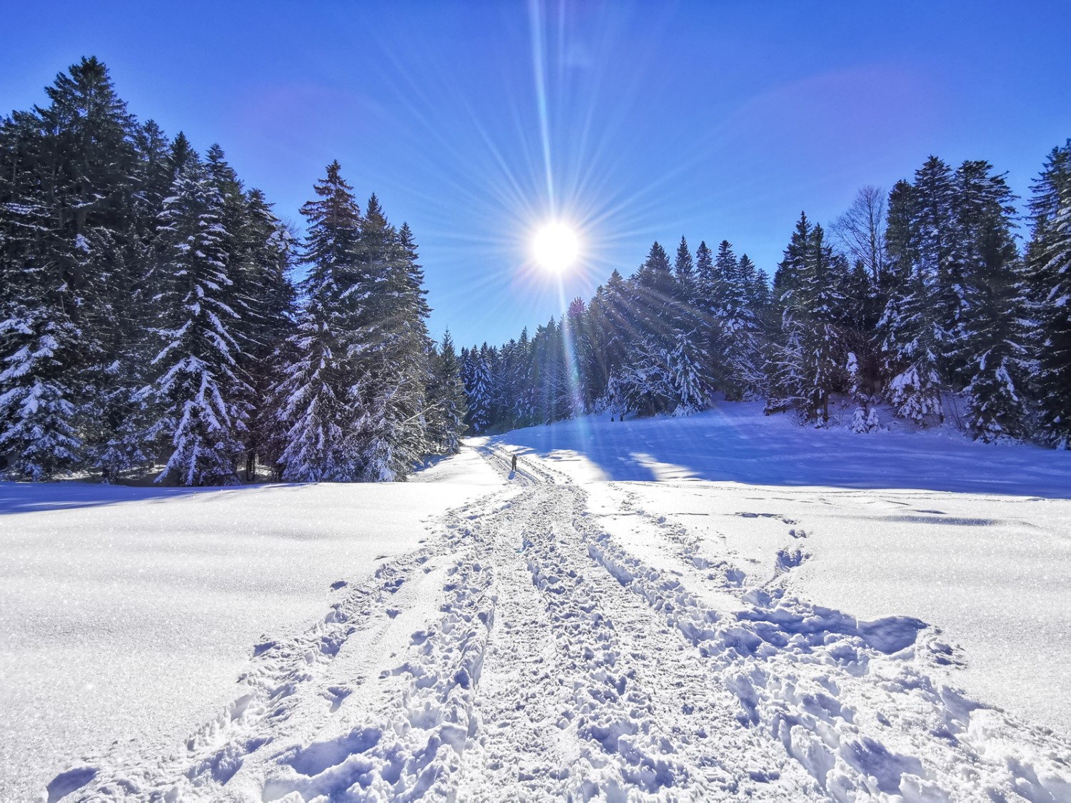 Tief verschneite Wälder beim Salomonstempel. Bild: Andreas Staeger