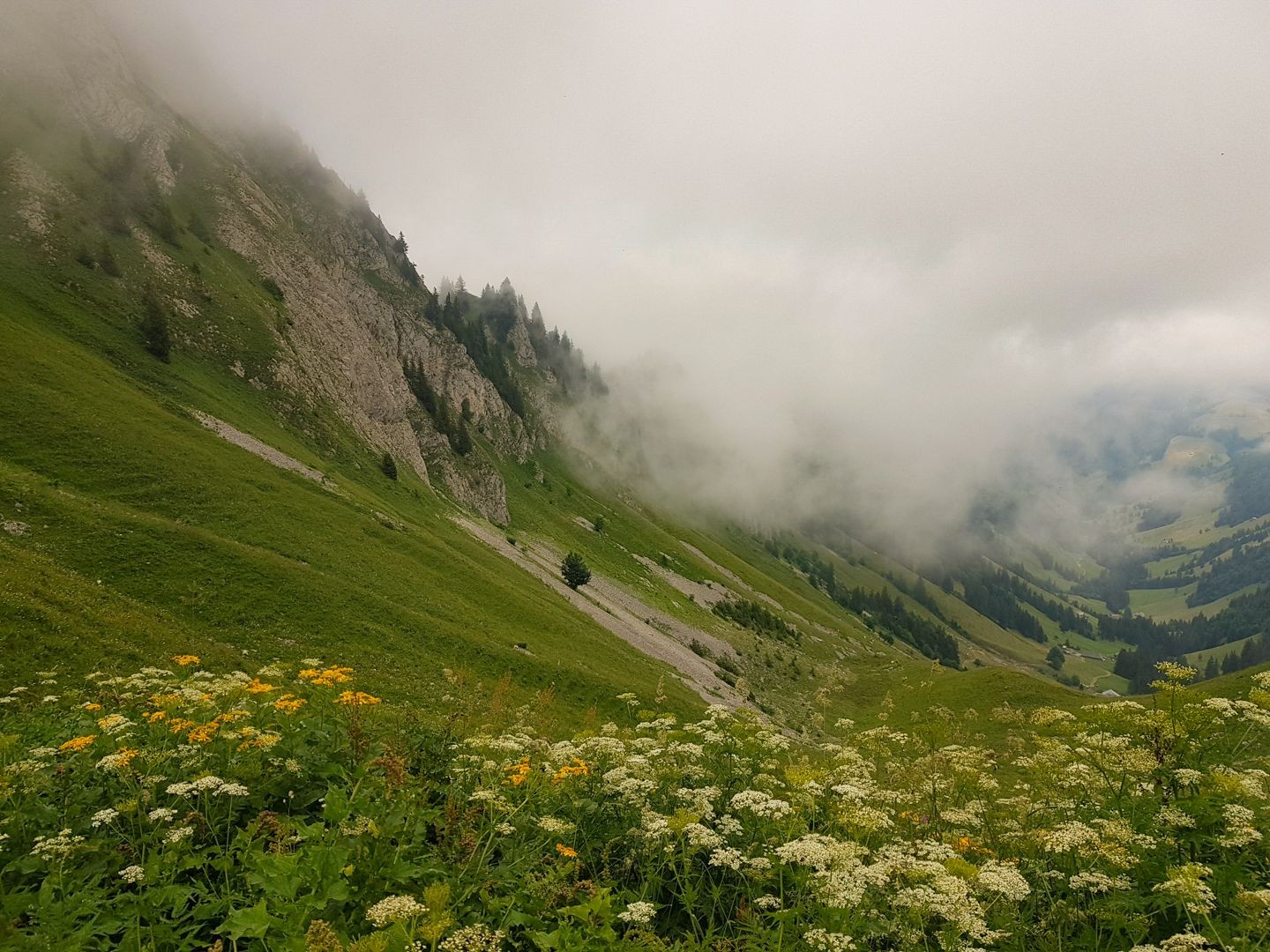 A près de 2000 mètres d’altitude, verdure, pierriers et nappes de brume cohabitent harmonieusement.