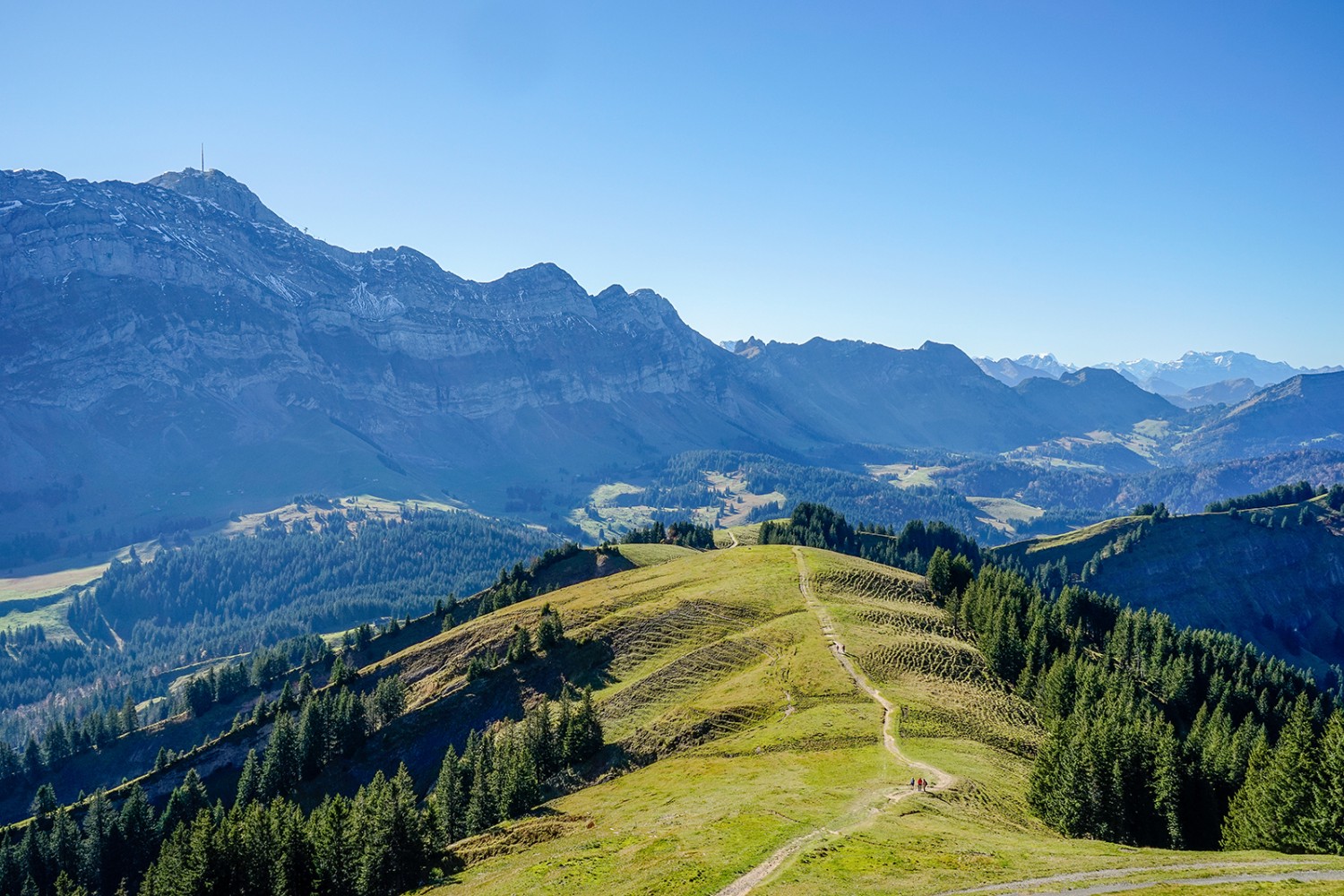 Le Säntis, omniprésent, vu ici depuis le Kronberg. Le chemin au premier plan mène à Schwägalp. Photos : Fredy Joss