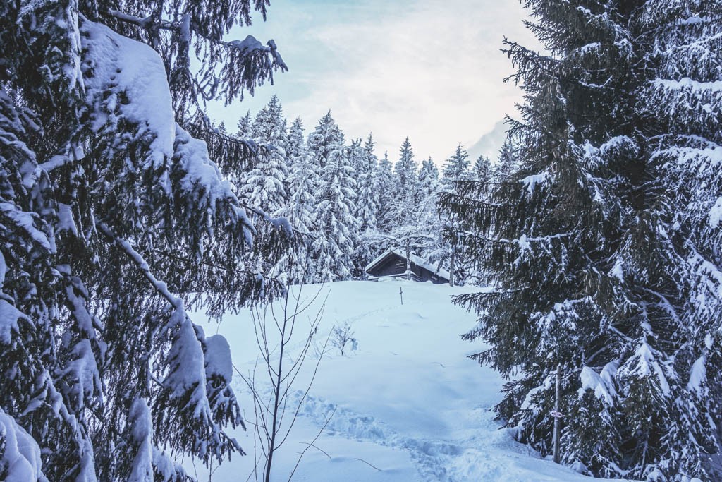 Der schöne und gewundene Trail führt die Wanderer zum Chalet «Ou Chimbo». Foto: Lauriane Clément