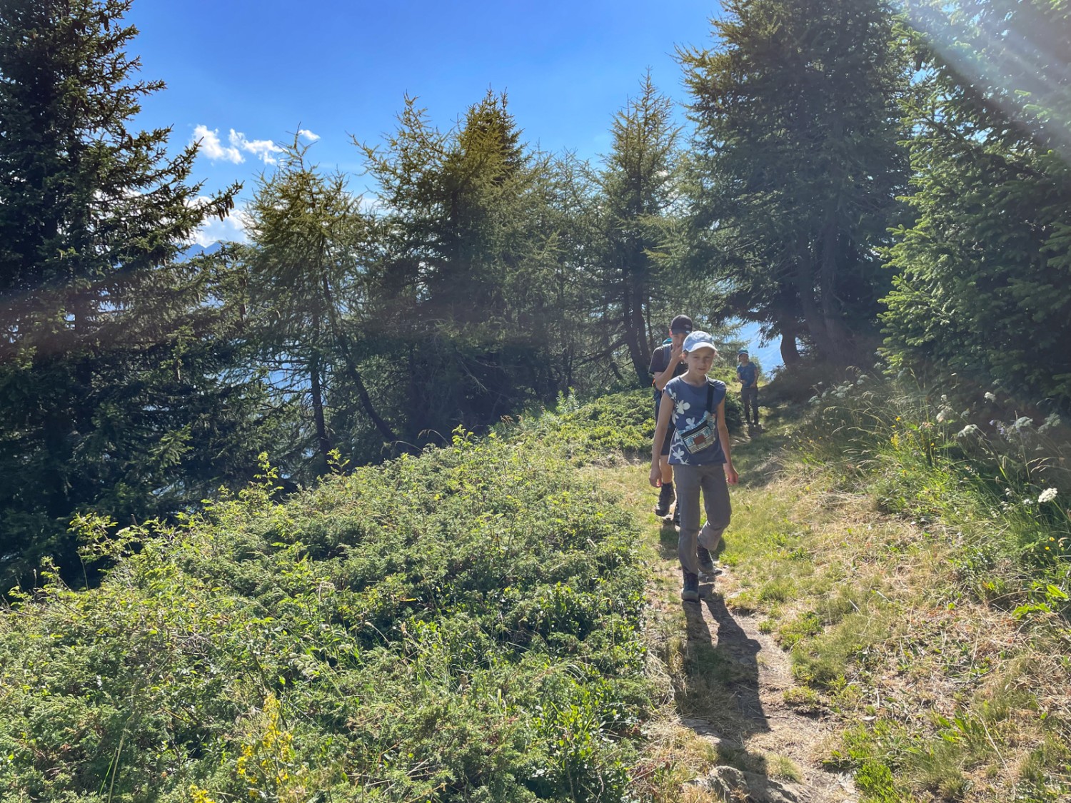 Plus on s’élève et plus la forêt devient clairsemée. Photo: Rémy Kappeler