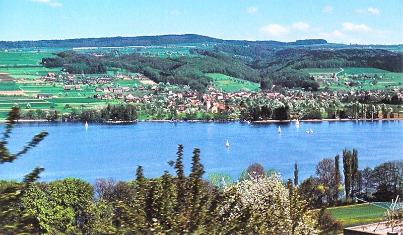 Paysage de la rive occidentale du lac de Hallwil. Photo: Franz Auf der Maur