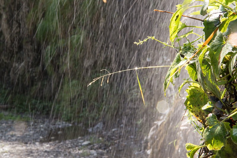 Le début se présente sous le signe de l'eau. Photo: Randy Schmieder