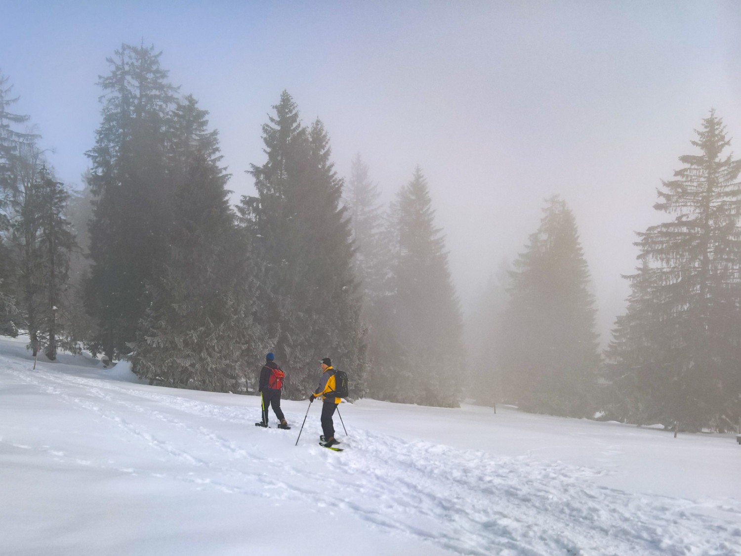 Auf dem Mont-Soleil steht ein ganzes Netz von ausgesteckten Schneeschuhrouten bereit. Bild: Andreas Staeger