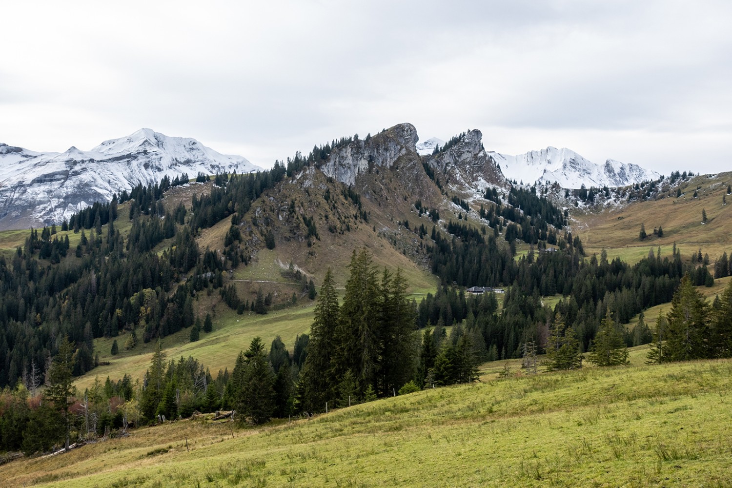 Vue sur les rochers du Rorspitz et la chaîne du Rothorn de Brienz au second plan.